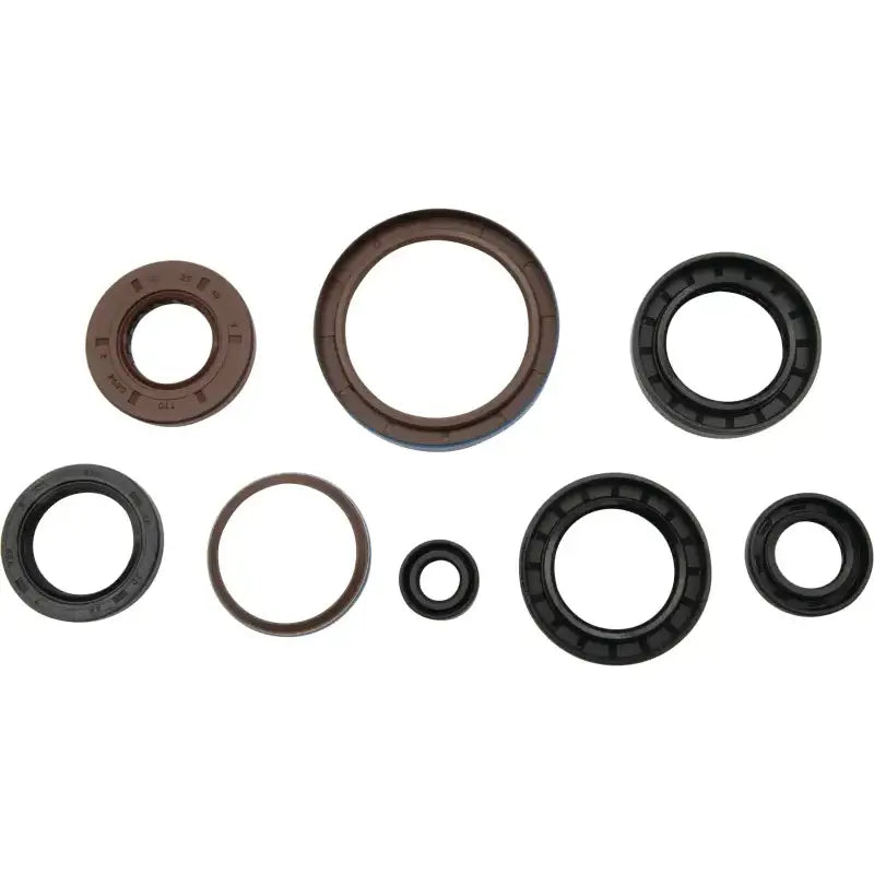 Oil Seal Set 