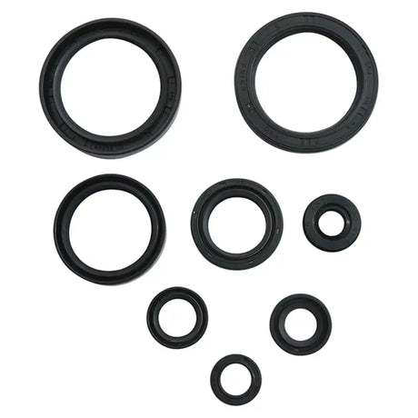 VERTEX Oil Seal Set Hon for Powersports