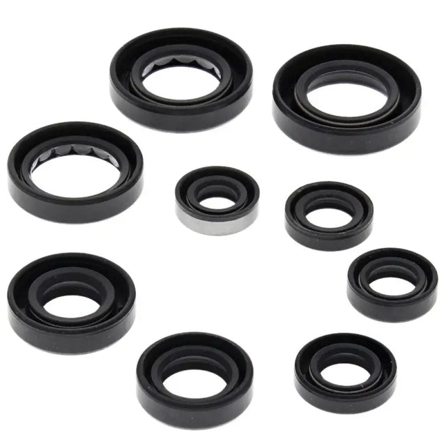 VERTEX Oil Seal Set for Powersports