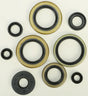 Oil Seal Set - Powersports