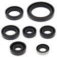 VERTEX Oil Seal Set for Powersports