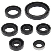 VERTEX Oil Seal Set for Powersports