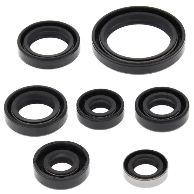VERTEX Oil Seal Set for Powersports