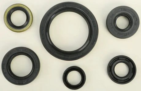 Oil Seal Set - Powersports