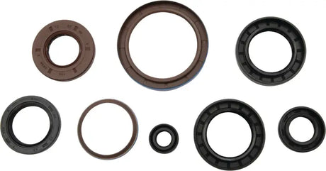 Oil Seal Set 