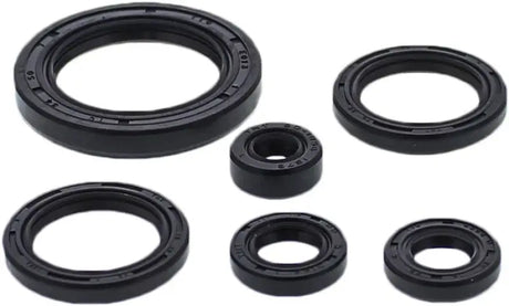 Oil Seal Set - Powersports