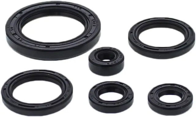 Oil Seal Set - Powersports