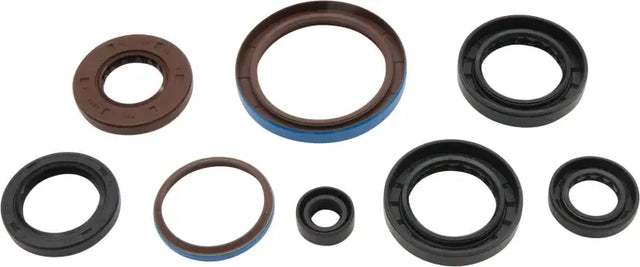 VERTEX Oil Seal Set for Powersports