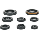 Oil Seal Set 