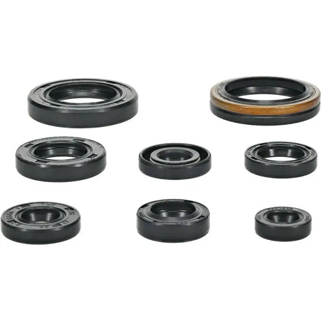 Oil Seal Set 