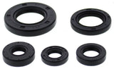 VERTEX Oil Seal Set for Powersports
