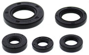 VERTEX Oil Seal Set for Powersports