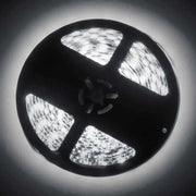 ORACLE Lighting 3803-001