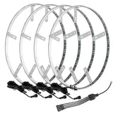 4215-001 Wheel Light Ring