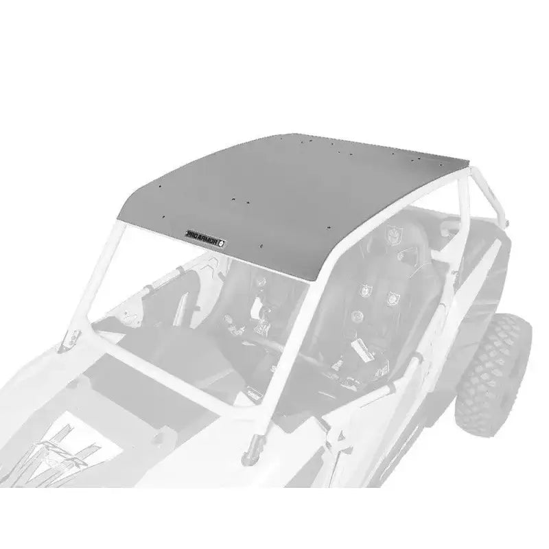 P141295SSM Pro Armor Asylum Roof Sparkle Silver Metallic - RV and Auto Parts