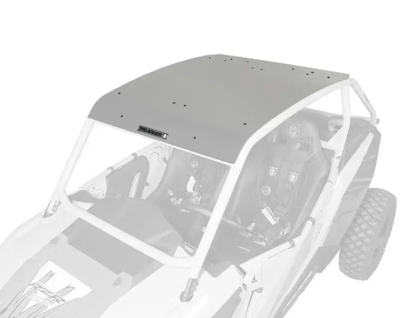 P141295TMM Pro Armor Asylum Roof Titanium Matte Metallic - RV and Auto Parts