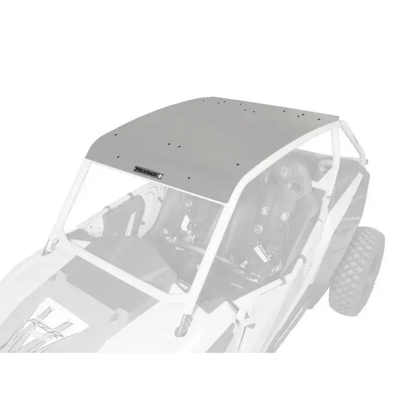P141295TMM Pro Armor Asylum Roof Titanium Matte Metallic - RV and Auto Parts