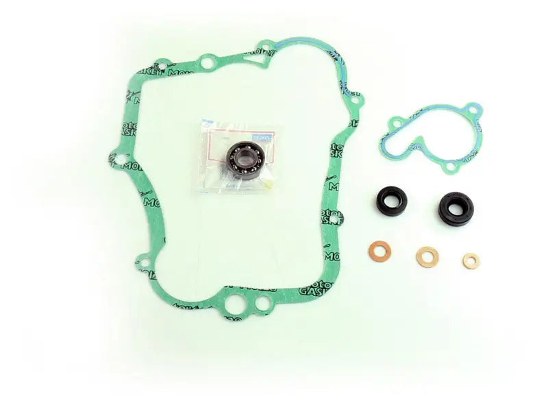 P400485475002 Athena Water Pump Repair Kit W/Bearings Yam - RV and Auto Parts