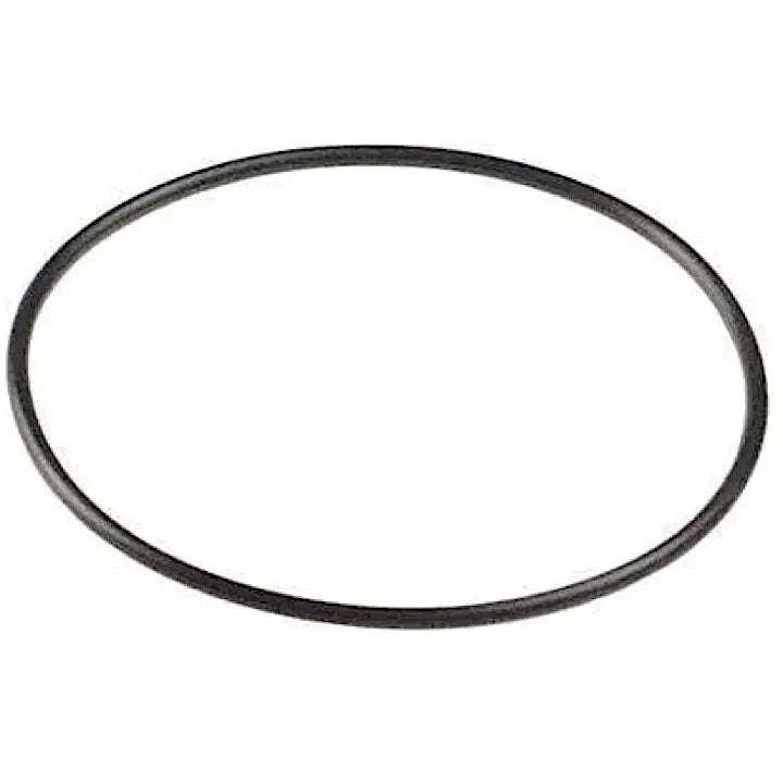 Pentair Shurflo 94-178-09 Water Filter