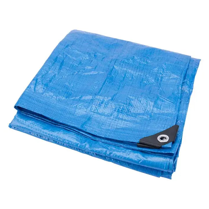 Performance Tool W6020 - Blue