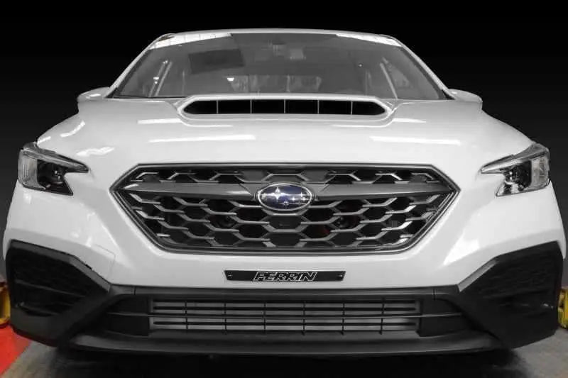 Perrin Performance PSP-BDY-116BK