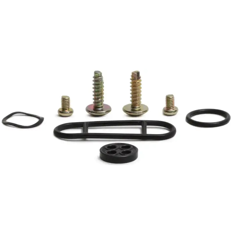 ALL BALLS Petcock Repair Kit for Powersports