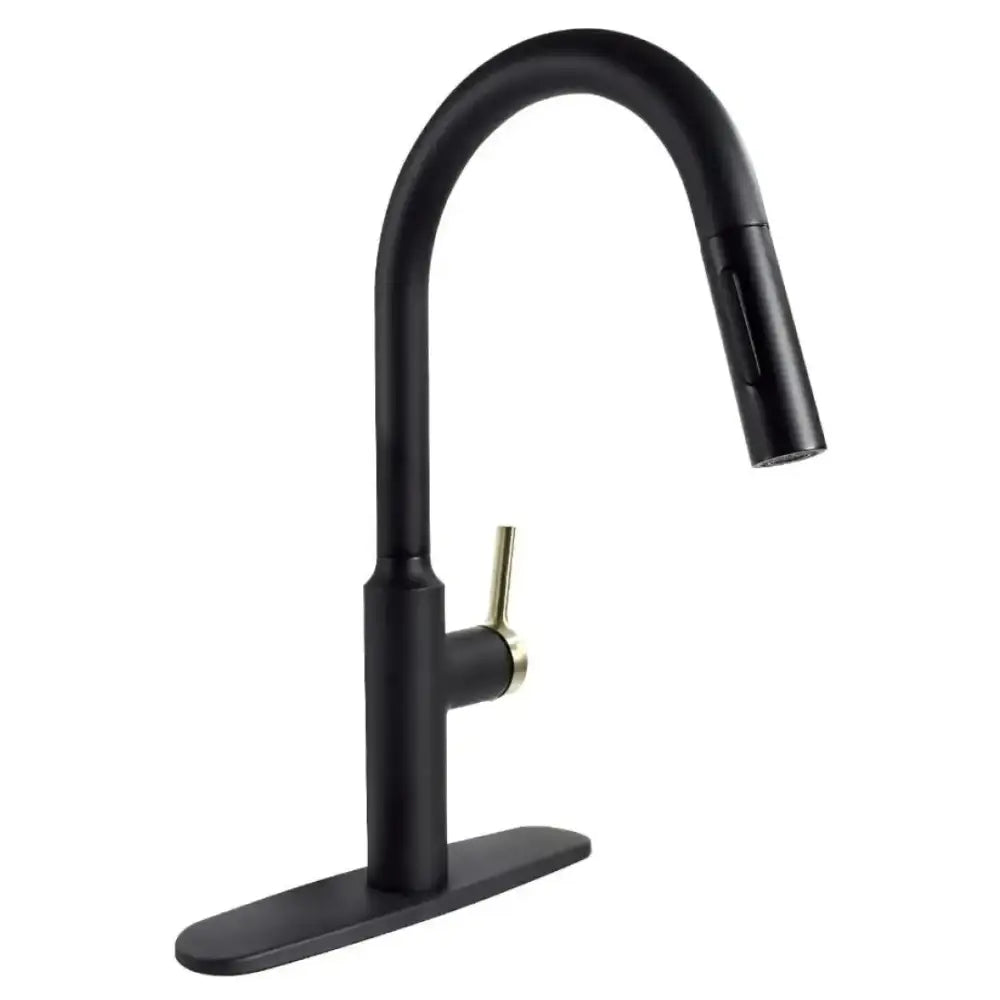PF231780 Valterra Premium Slimline Faucet Black