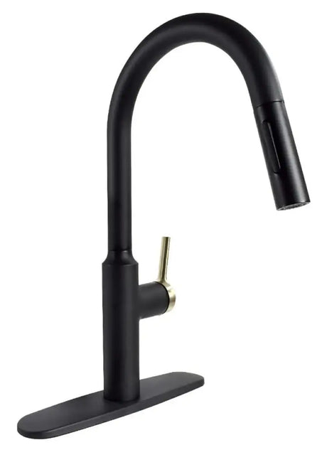 PF231780 Valterra Premium Slimline Faucet Black