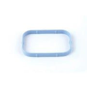 PG100 Standard Ign Plenum Gasket