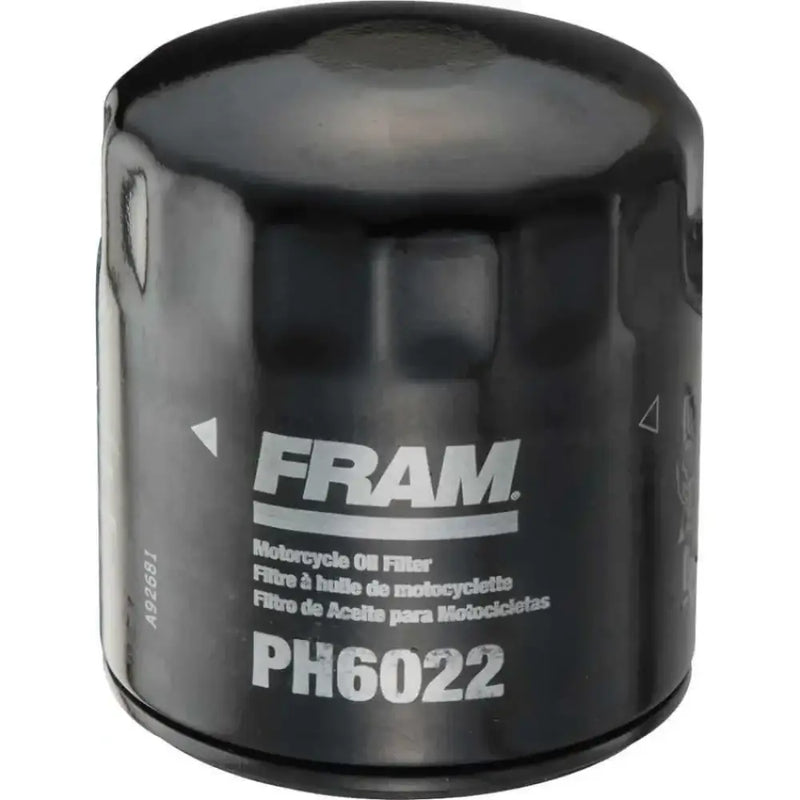 FRAM PH6022