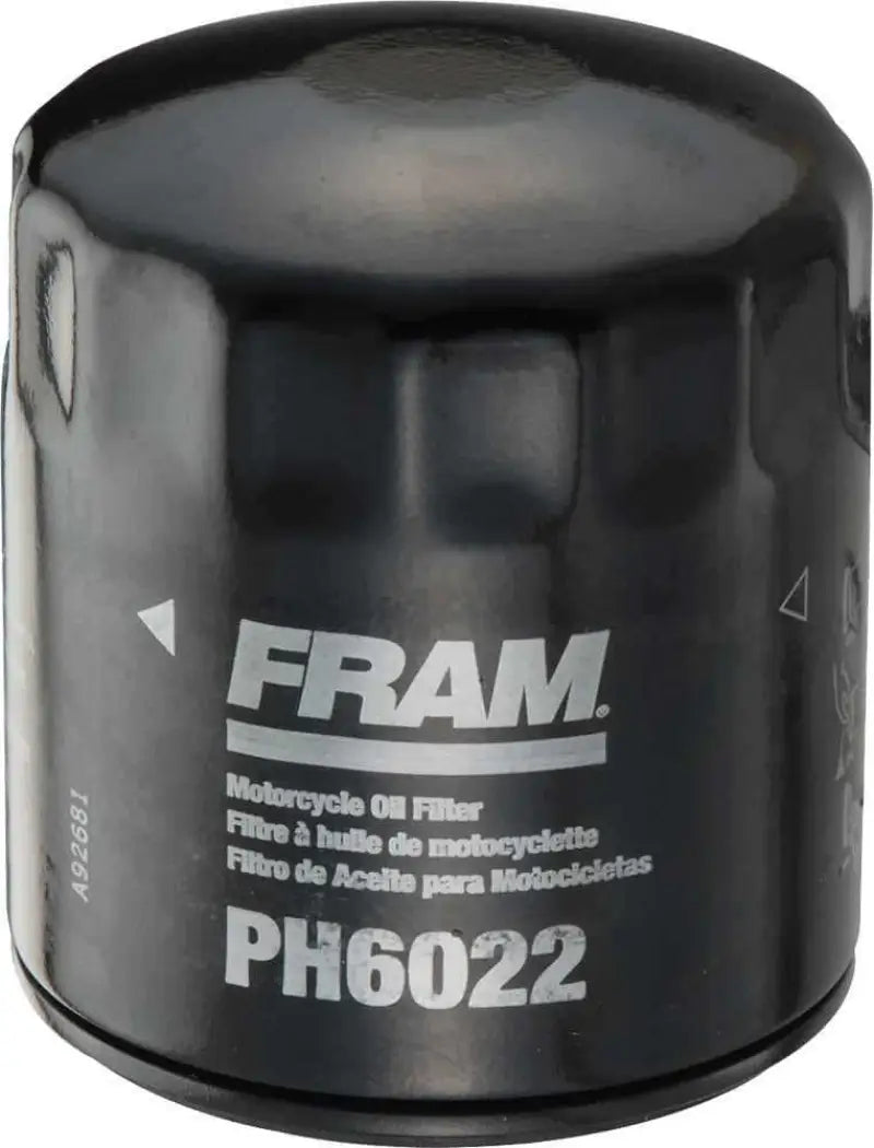 FRAM PH6022
