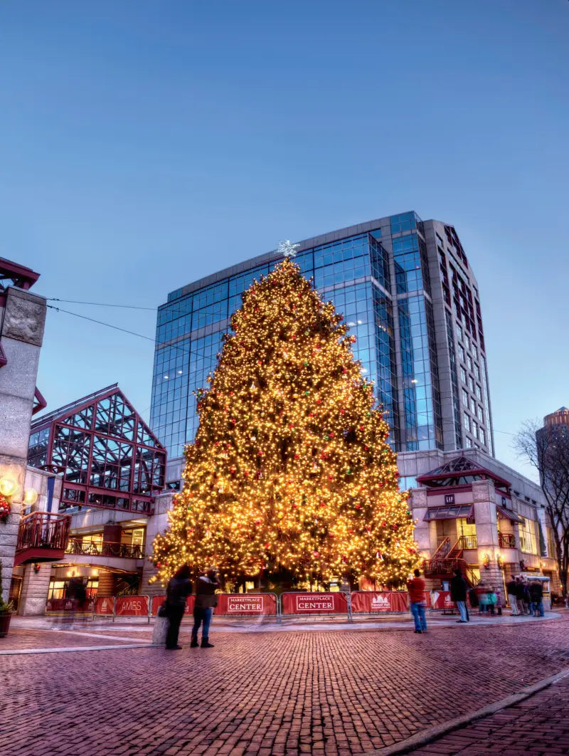 Pivot Works 25-1798-P Premium Wheel Bearing Kit Bearings - Drive