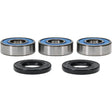 Pivot Works Pw Premium Wheel Bearing - Pivot Works