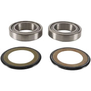 Pivot Works PWSSK-D01-000 Pw-Steering Stem Bearing Kit