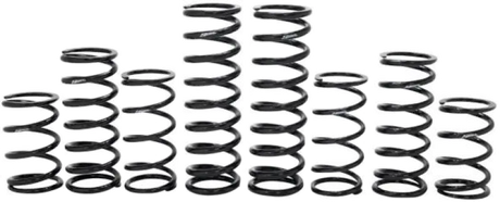 Dark coil springs from RZR Pro spring kit for 2022-2023 Walker EV 4 Seat