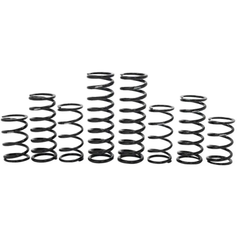 Dark coil springs from RZR Pro spring kit for 2022-2023 Walker EV 4 Seat