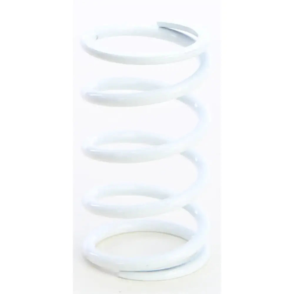 Primary Clutch Spring White - Powersports