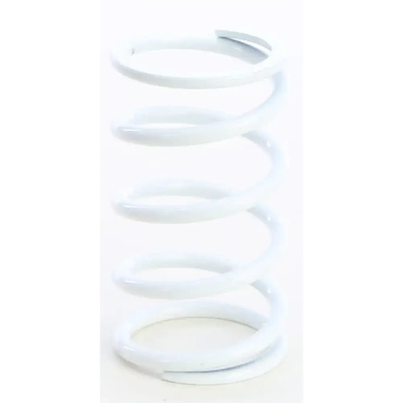 Primary Clutch Spring White - Powersports