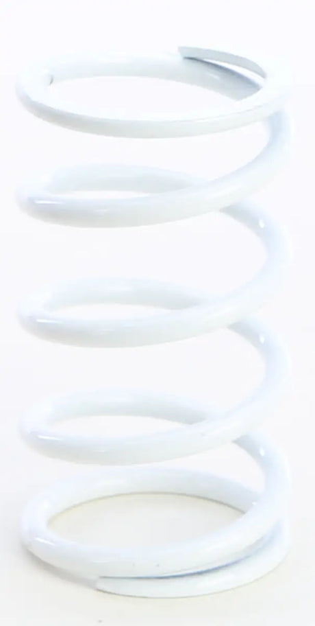Primary Clutch Spring White - Powersports