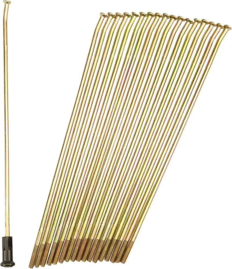 Double Butted Spokes Gold/Black Rear 19" 36/Pk