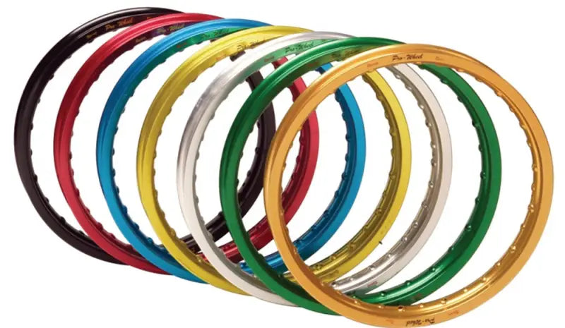 Pro-Wheel 19-RMZSPO Stainless Steel Rim Spoke Kit 19 - Wheel Components