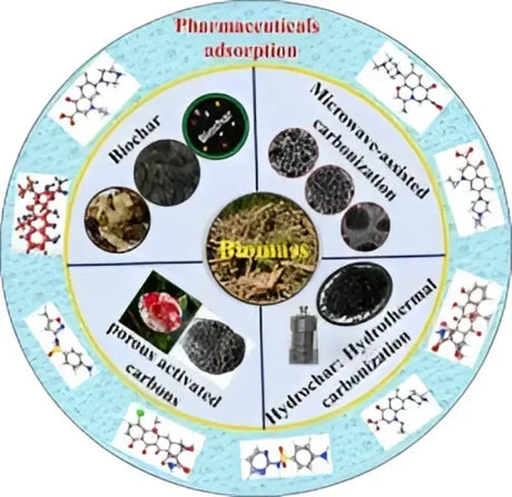 Circular diagram of biomass conversion for pharmaceutical adsorption with PROD291 Adjust-A-Brush Handle 36-72 in the background