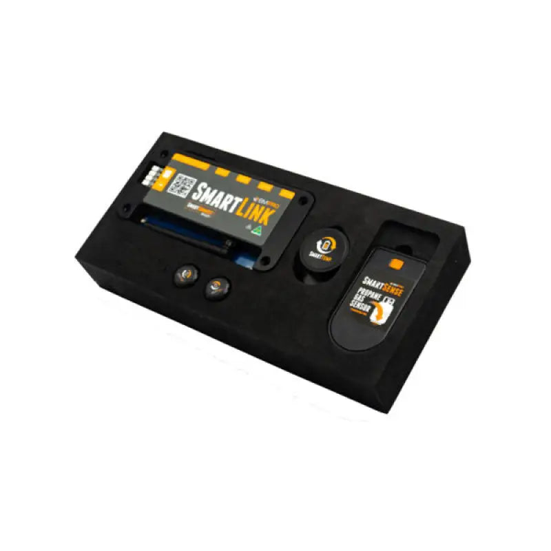 PROSMART Bmpro Prosmart - Rv Monitoring System