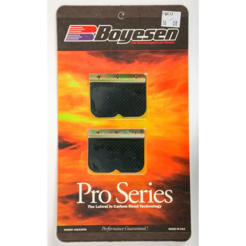 PSR-17 Motorcycle Pro Reeds 