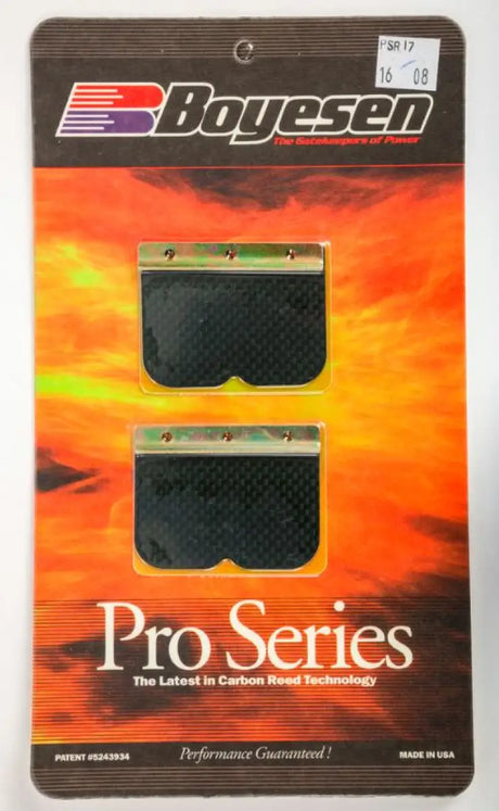 PSR-17 Motorcycle Pro Reeds 