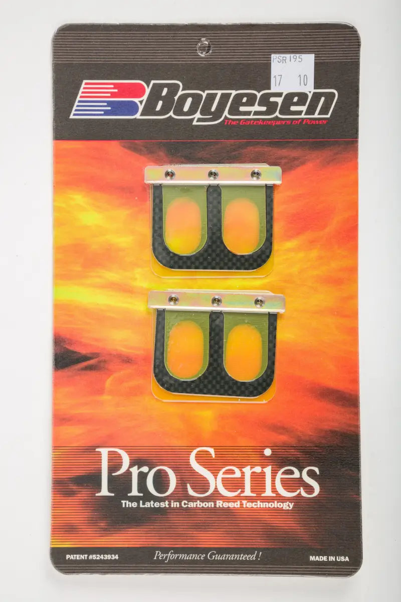 Psr-195 Boyesen Moitorcycle Rad Valve Reeds