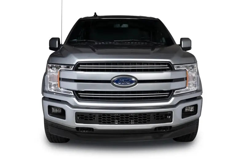 Putco 18-20 Ford F-150 - Hex Shield - Black Powder Coated Bumper Grille Inserts - 83161