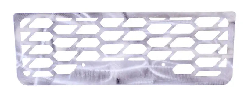 82166 Bumper Grille Insert