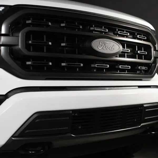 Putco Made In USA Bumper Grille Insert 88172 - Ford Super Duty Punch Design BL