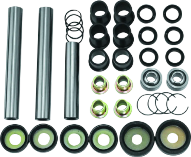 Assorted suspension components in QuadBoss repair kit for Honda TRX650FA FGA FourTrax